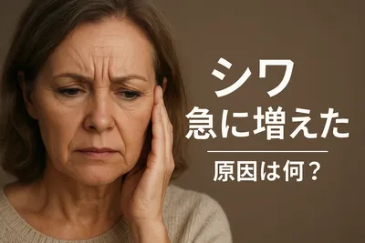 シワ 急に増えた 原因は何？